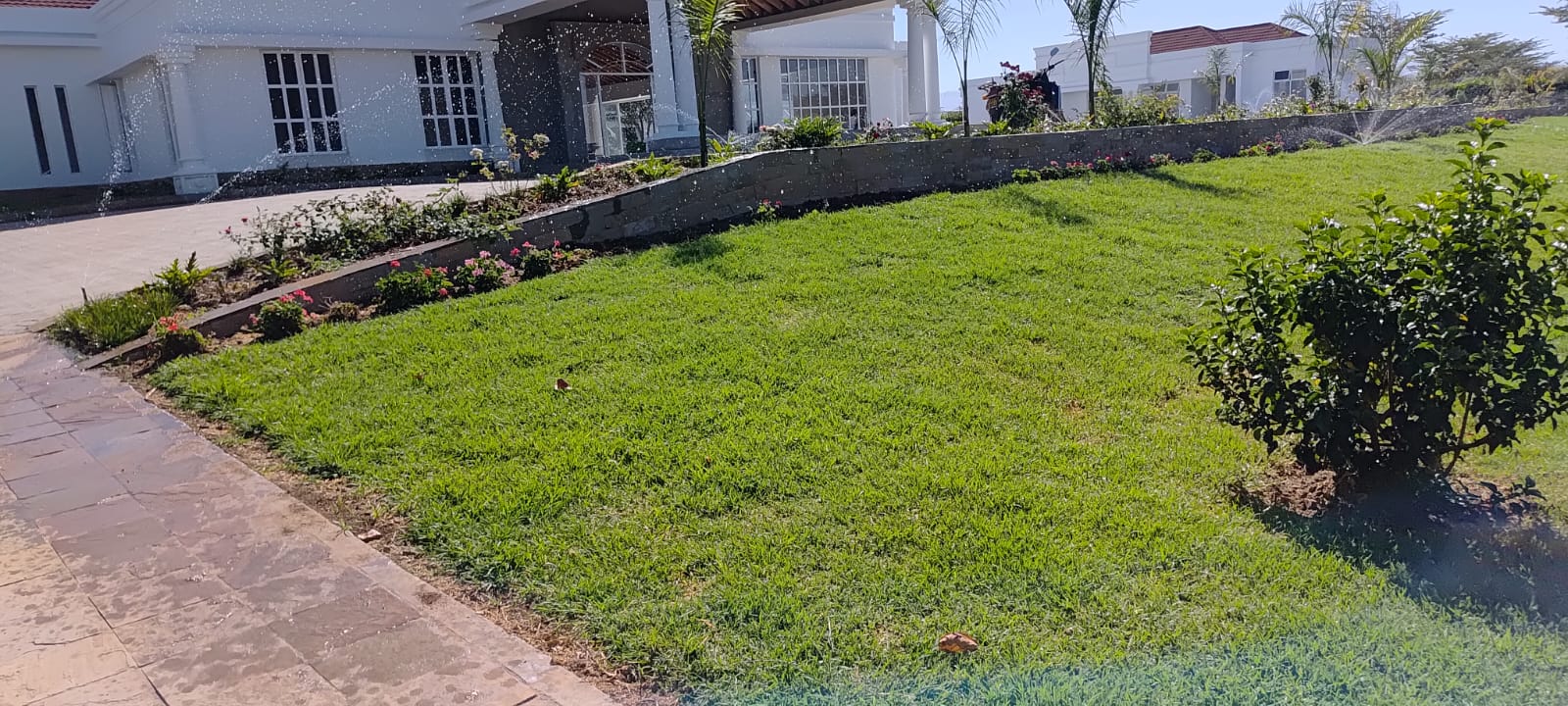 Belaire Resort Driveway