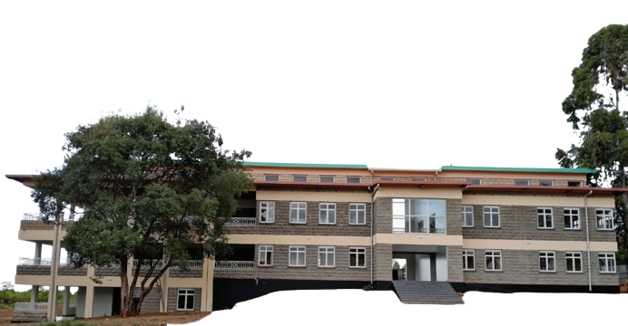 TOTH_2-removebg-preview