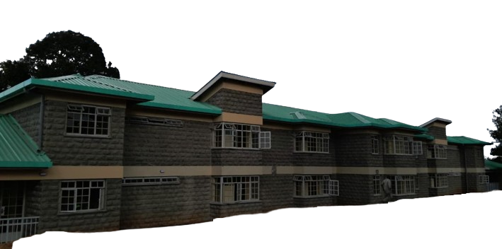 TOTH_4-removebg-preview