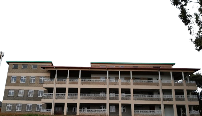 TOTH_5-removebg-preview