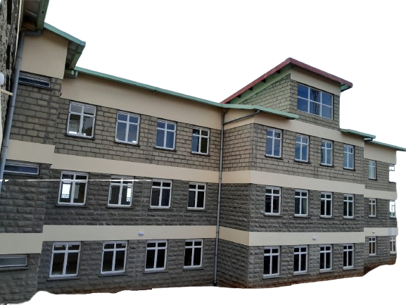 TOTH_7-removebg-preview (1)