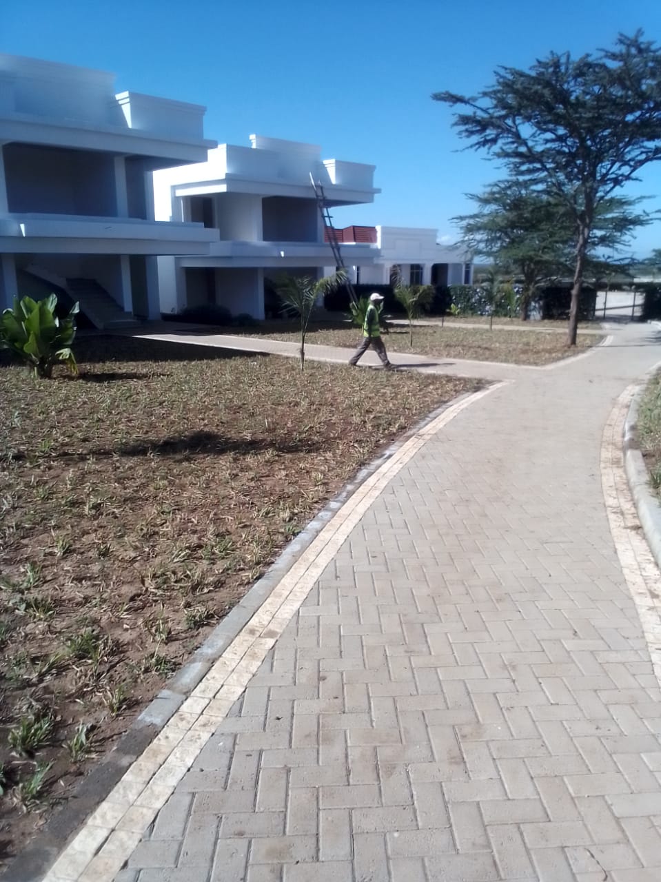 WhatsApp Image 2026-03-24 at 18.38.41