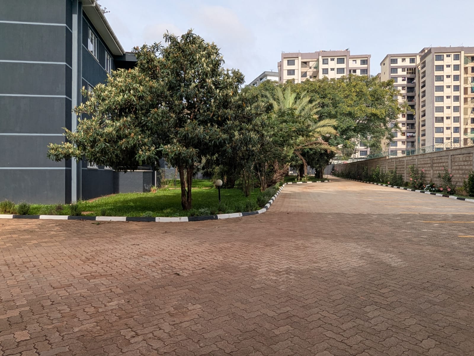 Rose Avenue 4
