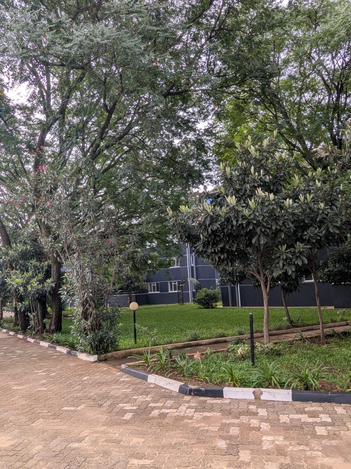 Rose Avenue 5